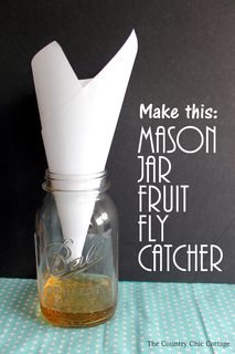 Mason jar fruit fly catcher originally found at: https://s-media-cache-ak0.pinimg.com/originals/a9/89/ea/a989ea91a188ee0c61d937dca9c0e0ea.jpg