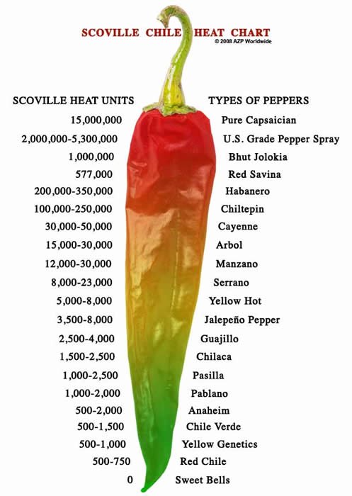 Scovile Scale Visualized