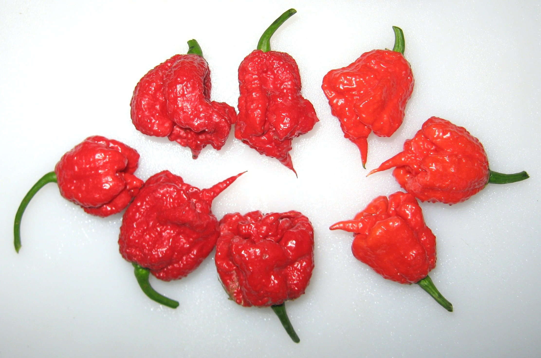 Carolina Reaper peppers. Image courtesy of delectationoftomatoes.wordpress.com